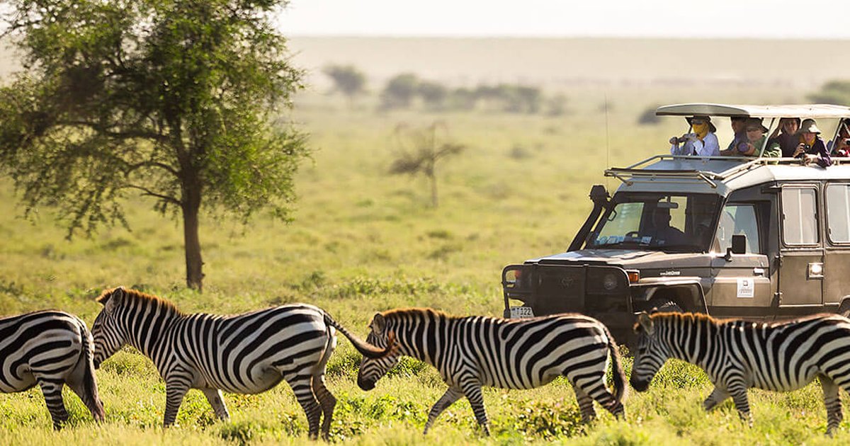 Amboseli tour - liloma safaris