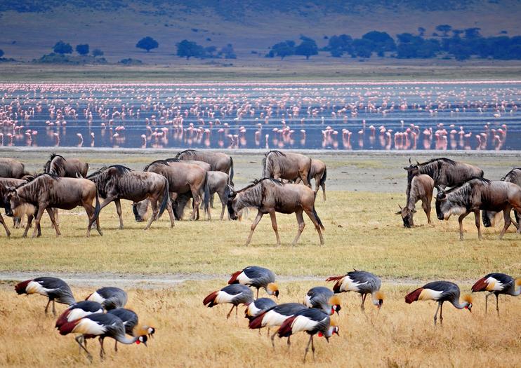 lake-manyara-national-park-1 (1)