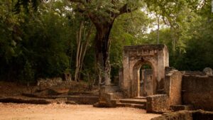 Gede Ruins Watamu Tour | Ancient Swahili City Experience