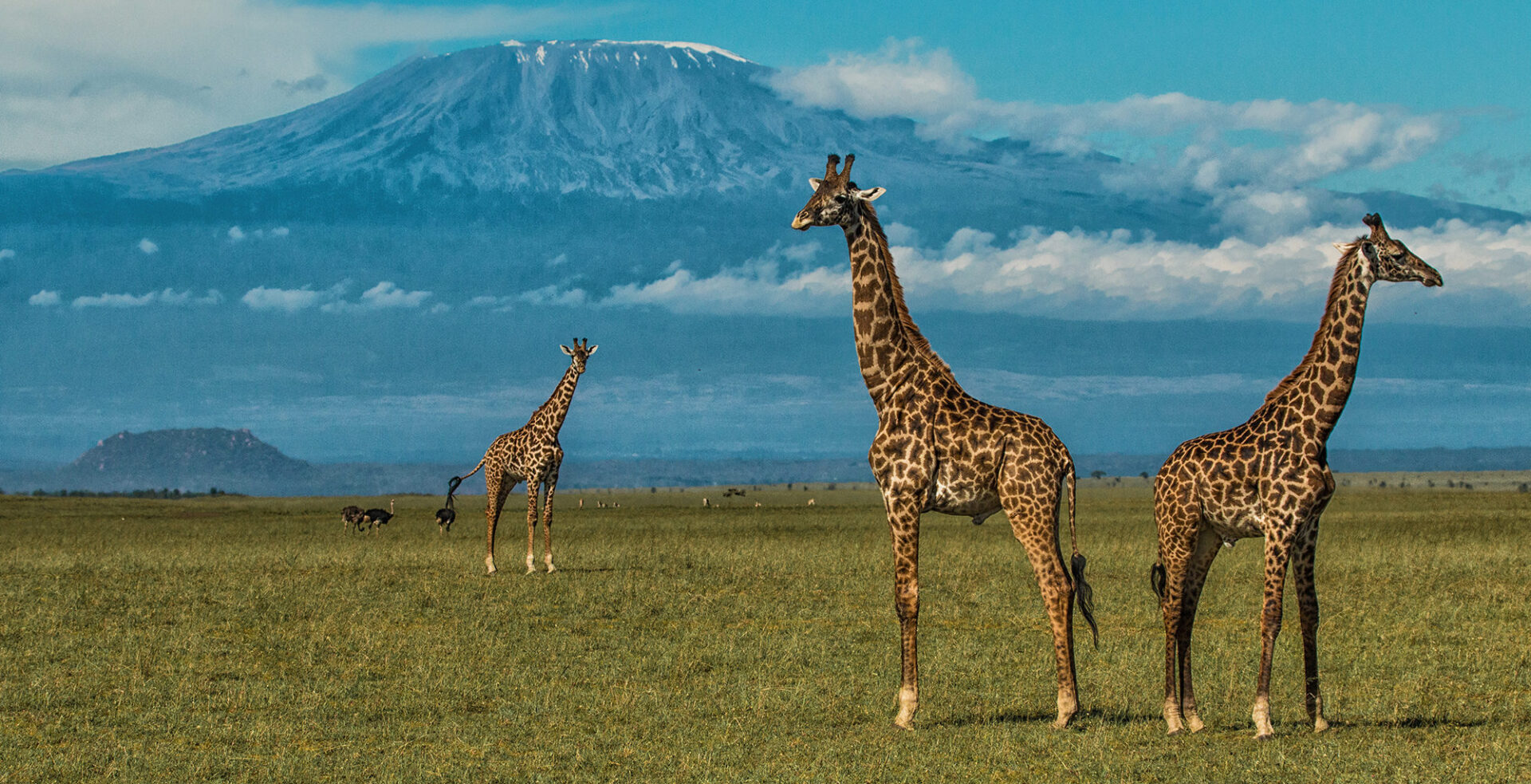Amboseli-National-Park
