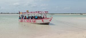 Blue Safari Sardinia 2 Watamu | Snorkeling & Seafood Tour
