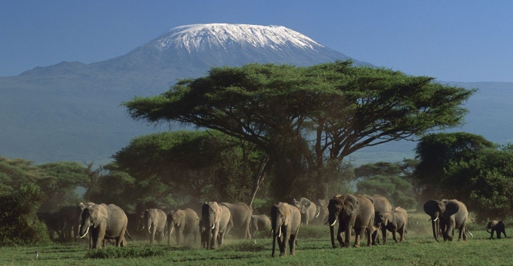 amboseli nat park