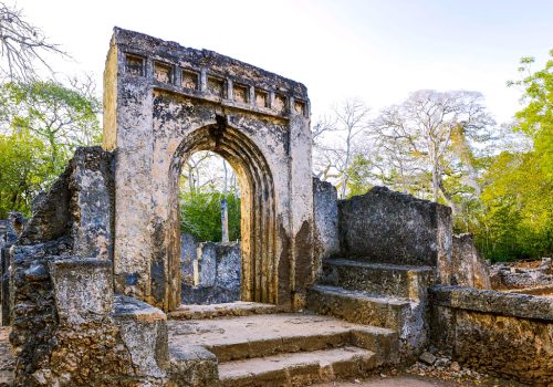 Gede Ruins Watamu Tour Ancient Swahili City Experience (1)