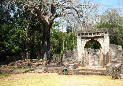 Gede Ruins Watamu Tour Ancient Swahili City Experience (1)