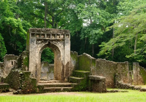 Gede Ruins Watamu Tour Ancient Swahili City Experience (1)