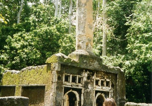 Gede Ruins Watamu Tour Ancient Swahili City Experience (10)