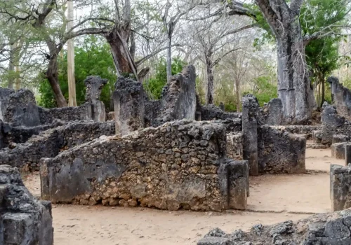 Gede Ruins Watamu Tour Ancient Swahili City Experience (2)