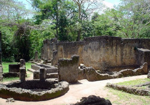 Gede Ruins Watamu Tour Ancient Swahili City Experience (3)