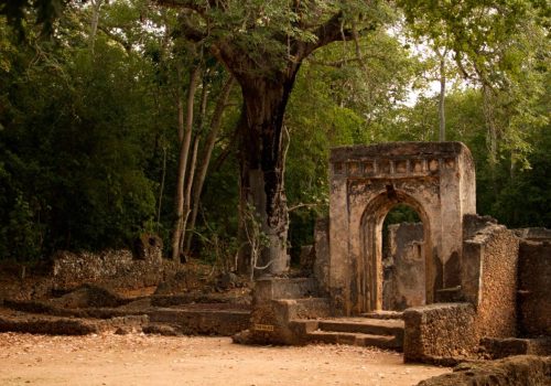 Gede Ruins Watamu Tour Ancient Swahili City Experience (4)