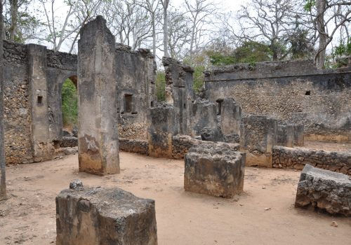 Gede Ruins Watamu Tour Ancient Swahili City Experience (6)