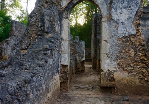 Gede Ruins Watamu Tour Ancient Swahili City Experience (7)