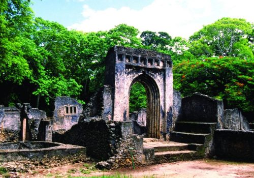 Gede Ruins Watamu Tour Ancient Swahili City Experience (8)