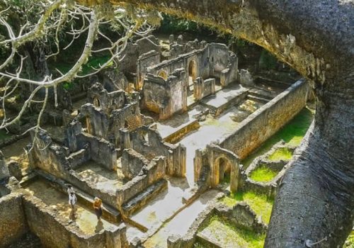 Gede Ruins Watamu Tour Ancient Swahili City Experience (9)