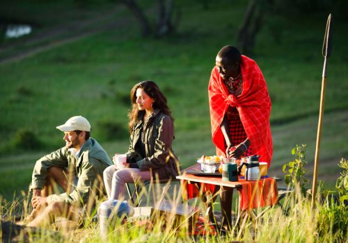 Kenya Safari Jambo - 3-Day Masai Mara Safari by Air (4)