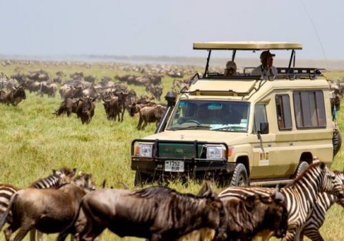 Kenya Safari Jambo - 3-Day Masai Mara Safari by Air (6)