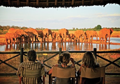 Kenya Safari Jambo - 3 days Safari (9)