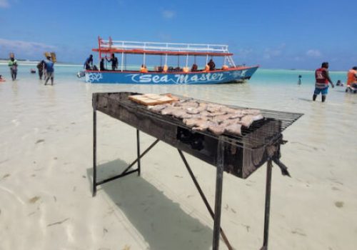 Safari-BLU-sardegna-2_-450x450