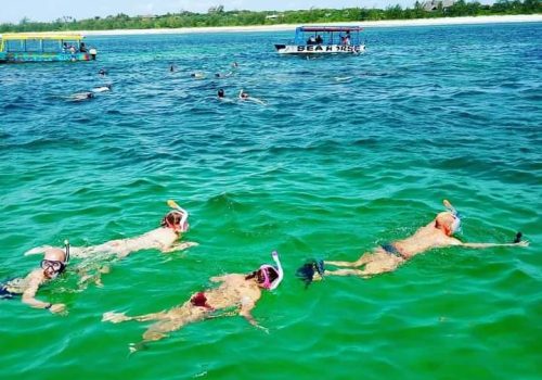 WhatsApp Image 2026-02-02 at 7.02.20 AM (1)