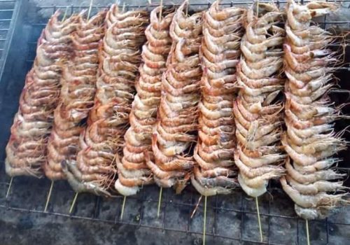 WhatsApp Image 2026-02-02 at 7.02.21 AM (1)