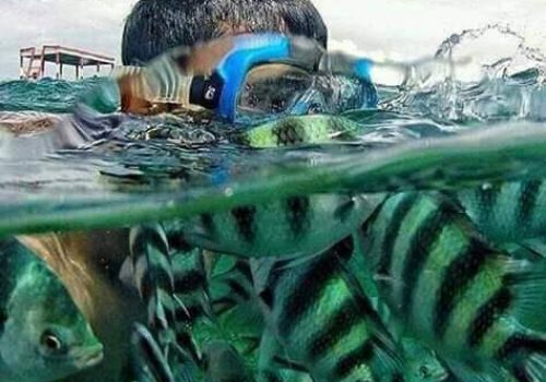 WhatsApp Image 2026-02-02 at 7.02.22 AM (1)