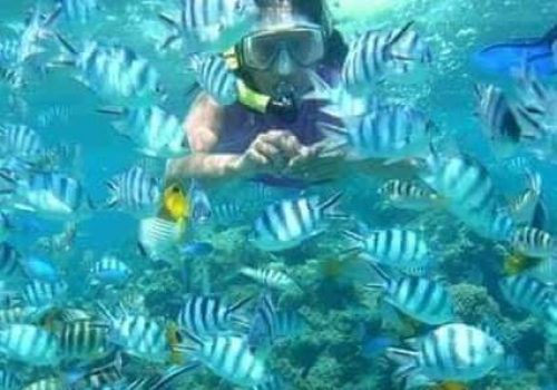 WhatsApp Image 2026-02-02 at 7.02.22 AM