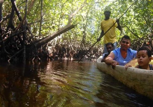 WhatsApp Image 2026-02-02 at 7.02.26 AM (2)