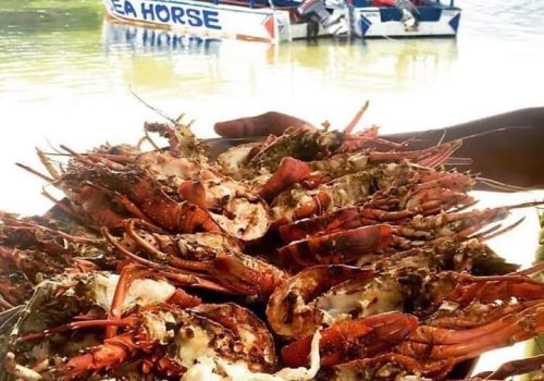 WhatsApp Image 2026-02-02 at 7.02.27 AM (1)