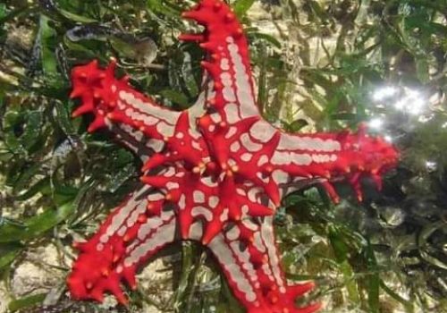 WhatsApp Image 2026-02-02 at 7.02.28 AM (2)