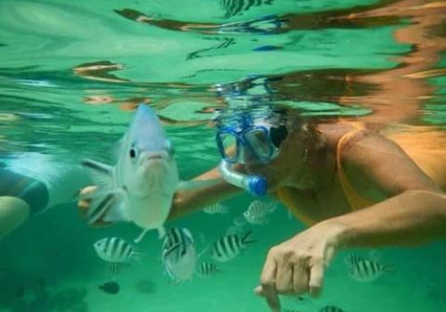 WhatsApp Image 2026-02-02 at 7.02.29 AM