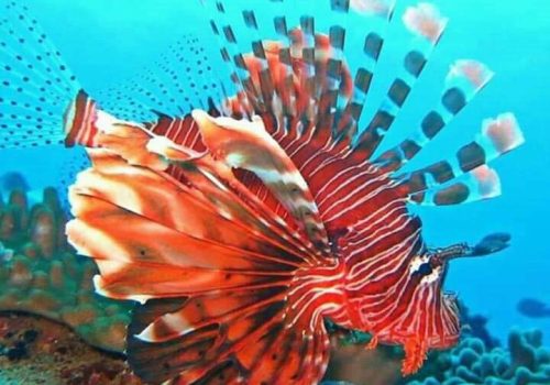 WhatsApp Image 2026-02-02 at 7.02.31 AM