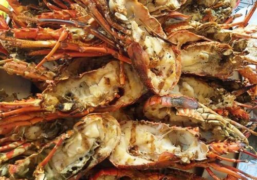 WhatsApp Image 2026-02-02 at 7.02.46 AM