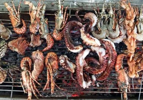 WhatsApp Image 2026-02-02 at 7.02.48 AM (3)