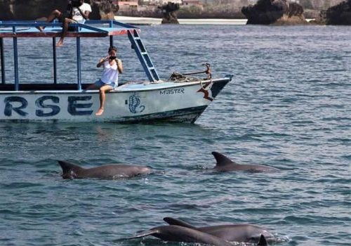 WhatsApp Image 2026-02-02 at 7.02.50 AM (2)