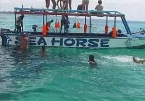 WhatsApp Image 2026-02-02 at 7.02.50 AM