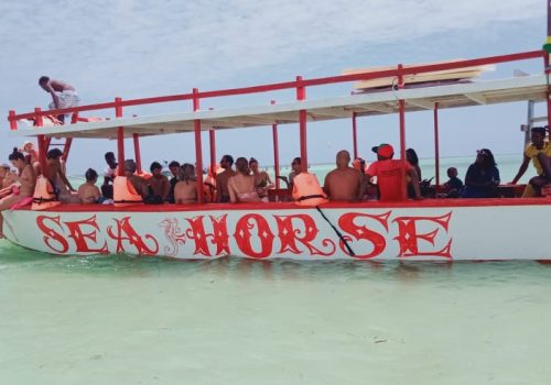 WhatsApp Image 2026-02-02 at 7.02.52 AM