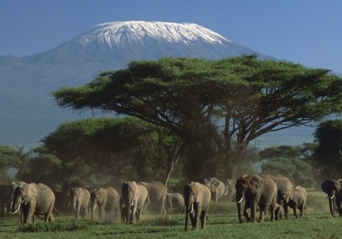 amboseli nat park